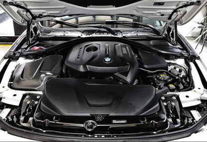 BMW F30 320i / 330i B48 ARMASPEED Carbon Fiber Cold Air Intake